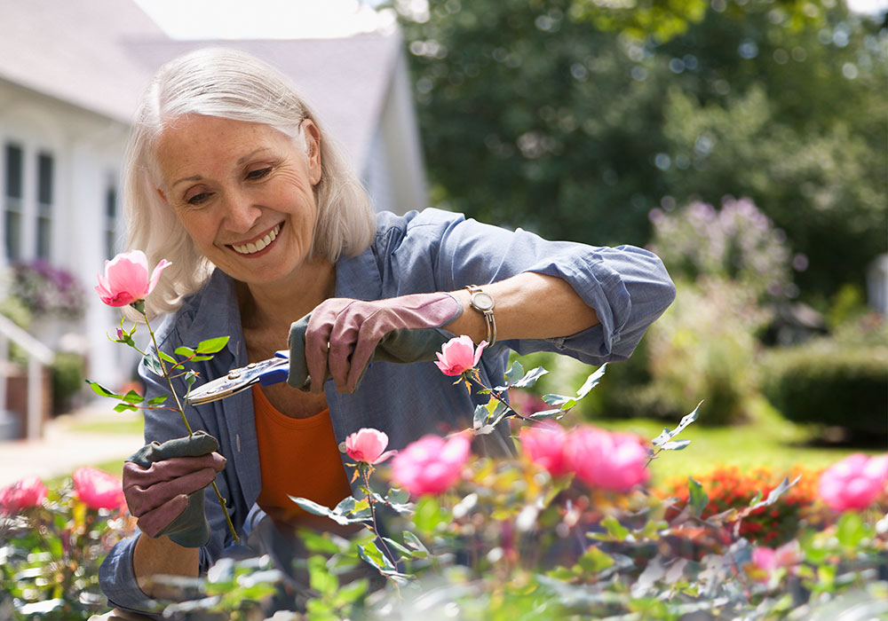 A woman is cutting flowers in the garden.